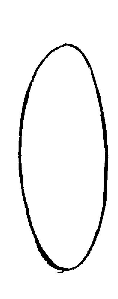 A drawing of an ellipse