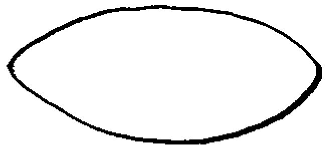 An incorrectly-drawn 'lemon' ellipse